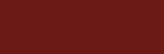 penghunipluto banner