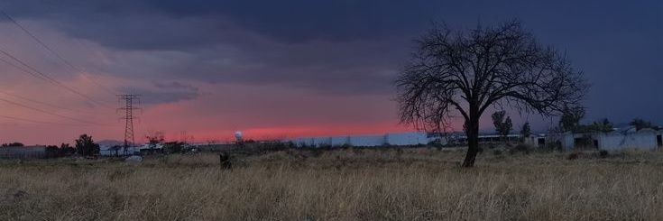 CremaBb25707's profile banner image