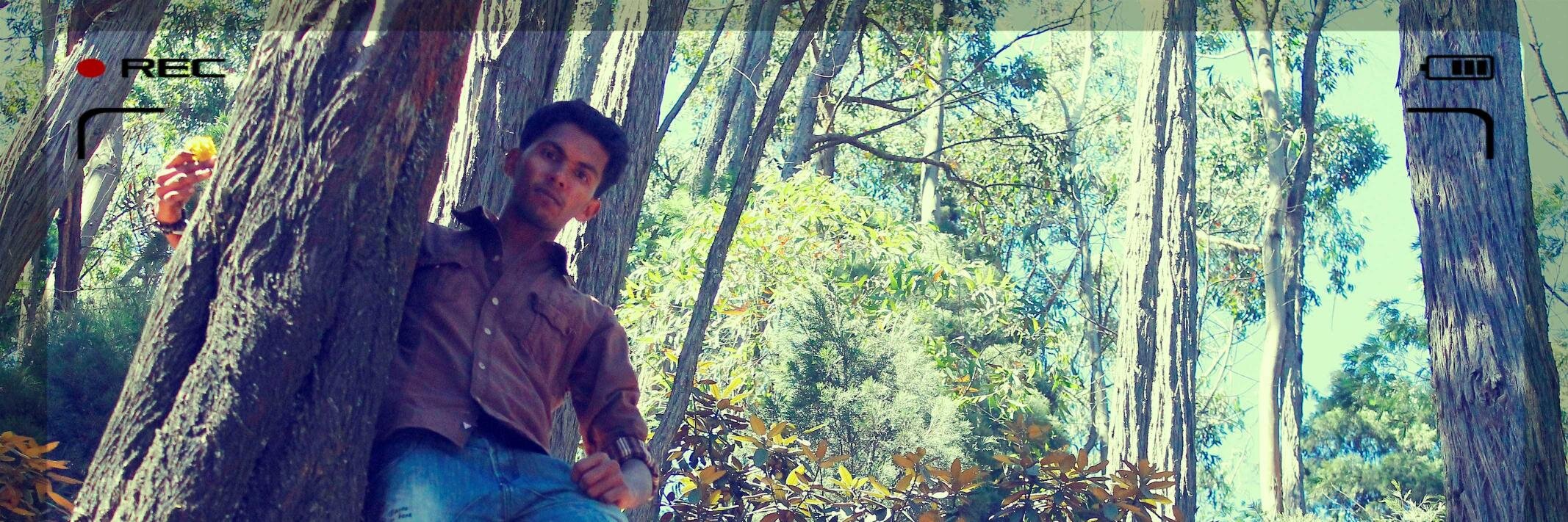 imVSR's profile banner image