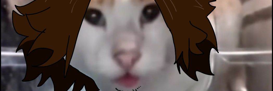 theFavan's banner