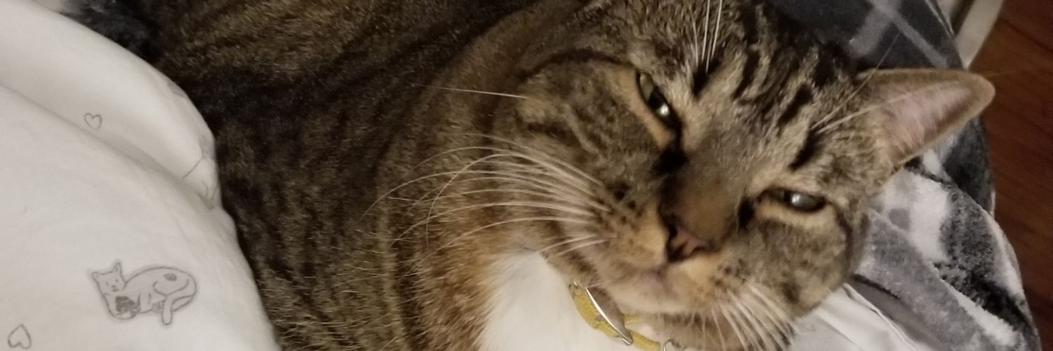 trekteri's profile banner image