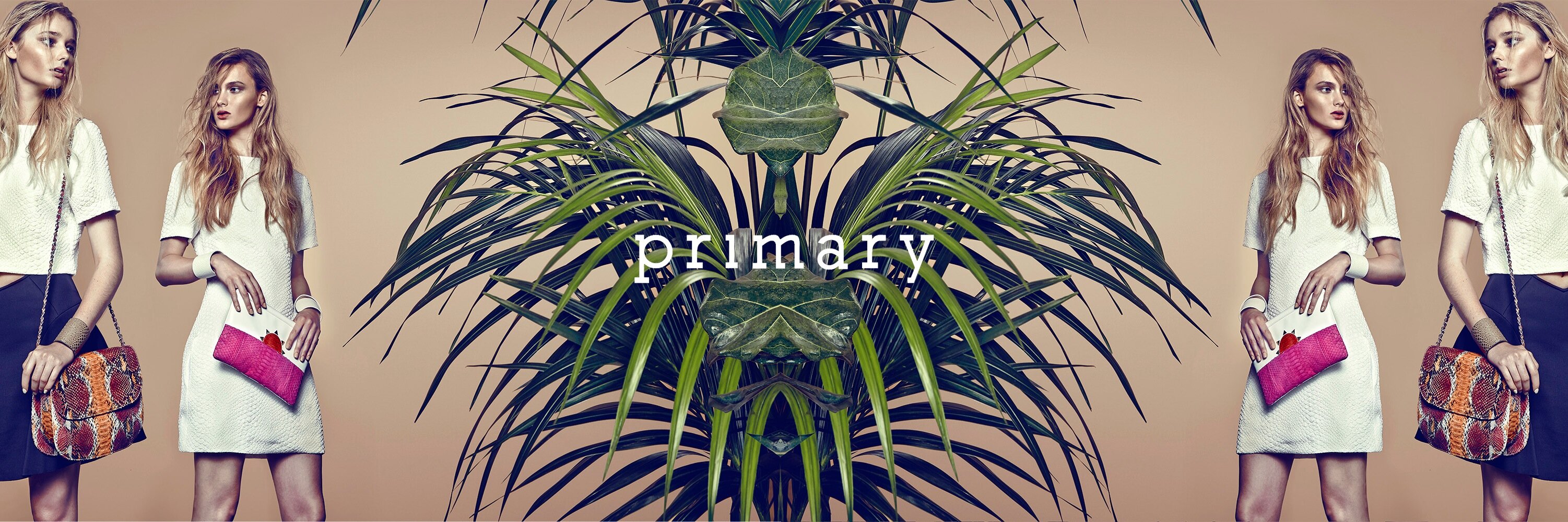 primary_newyork's profile banner image