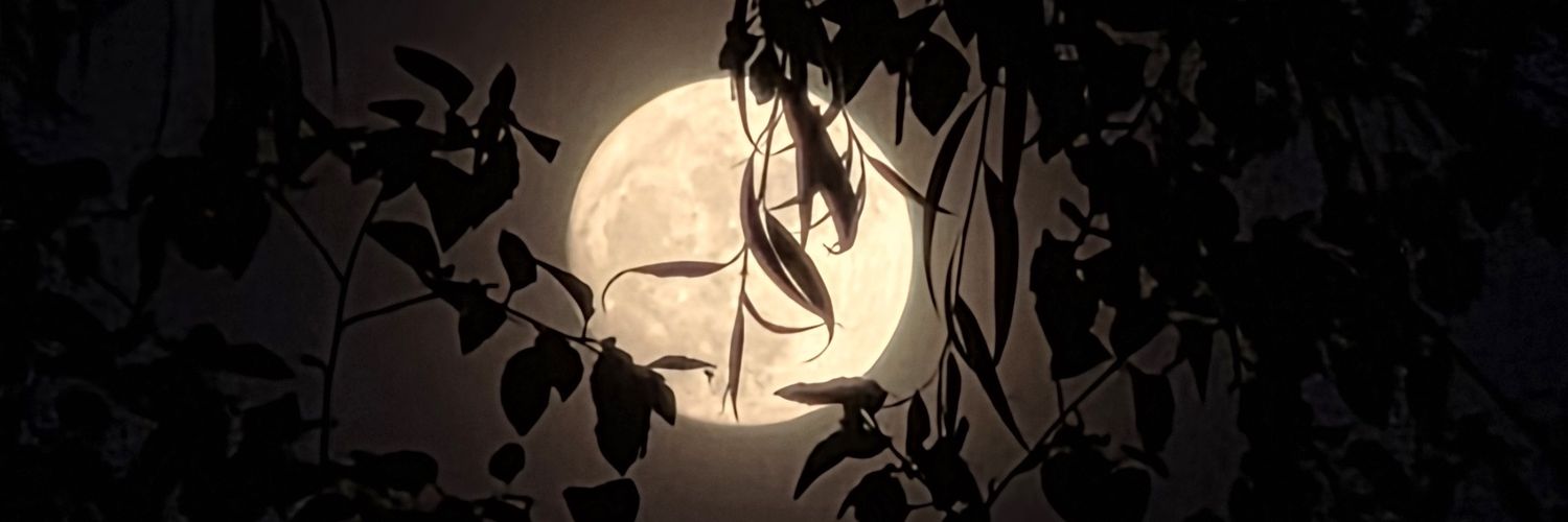 TruthAgape's profile banner image