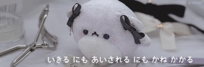 ral_ymd's profile banner image