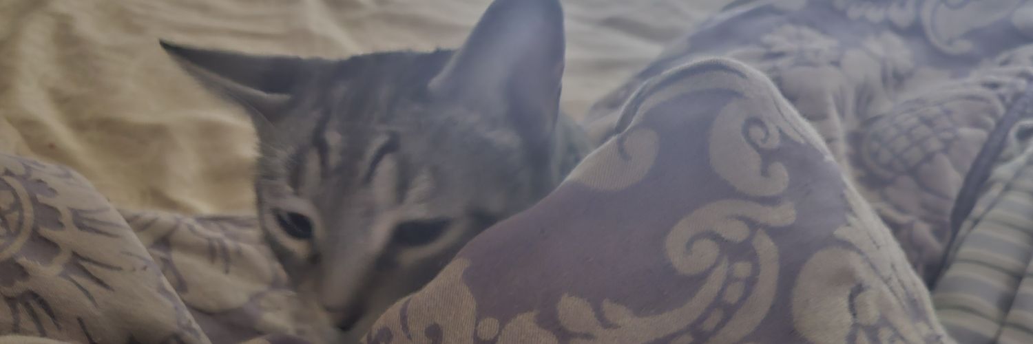 (っ◔◡◔)っ ♥ James ♥ banner