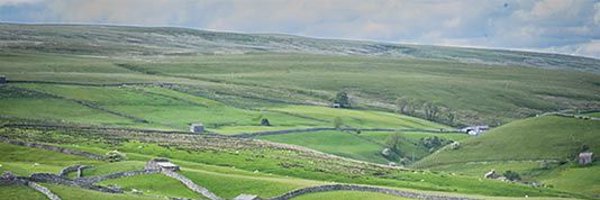 JohnnyEnglishX Profile Banner
