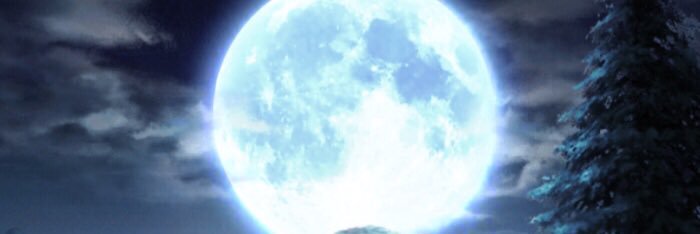 fplsd's profile banner image