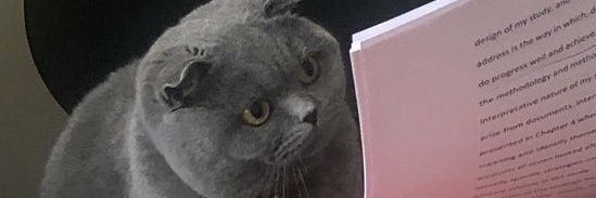 Robin 'robsAgeek' banner