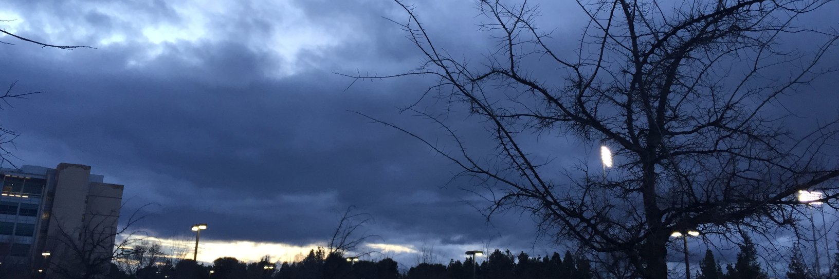 evaspiegel's profile banner image