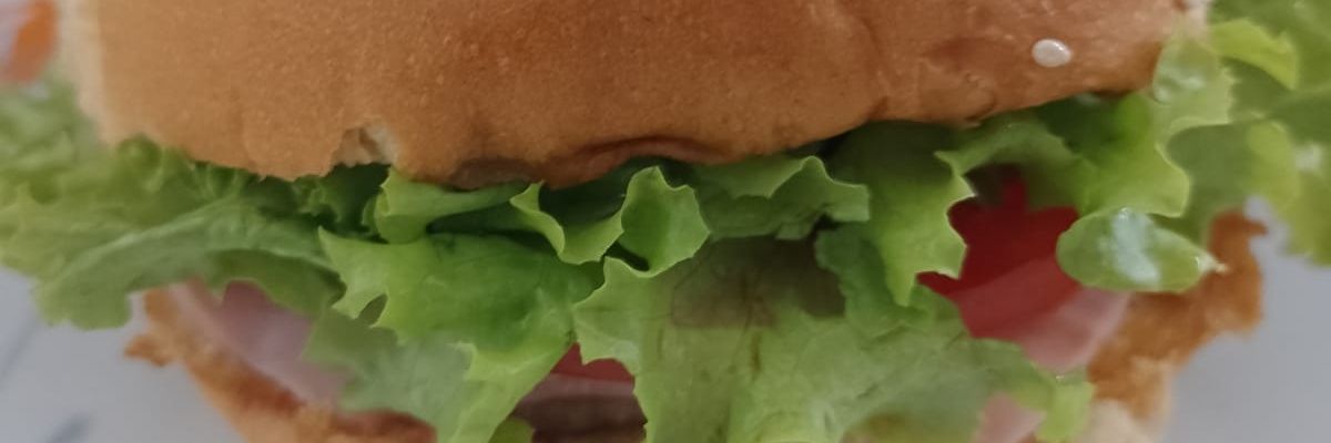 renatoramossc's profile banner image