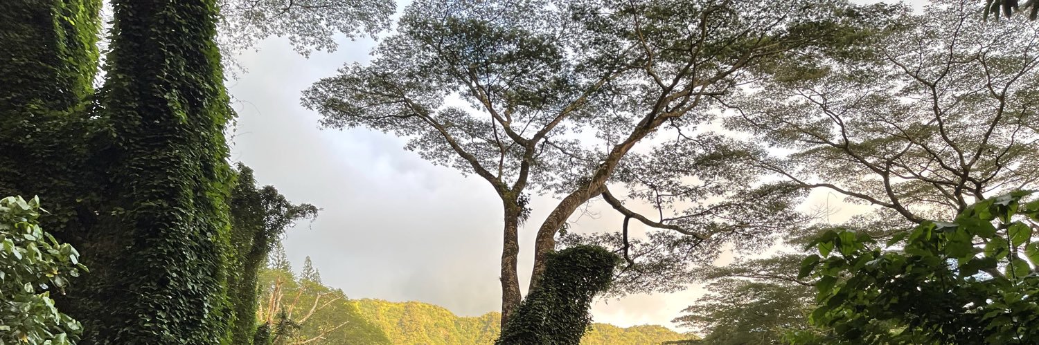itsGUAM's profile banner image