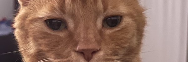 flrainh Profile Banner