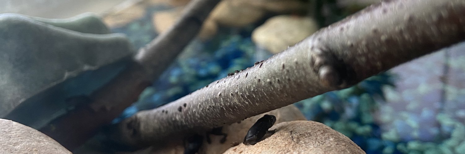 SeaSaltR's profile banner image