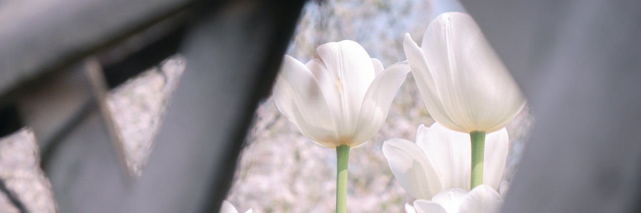 ynyn989376's profile banner image