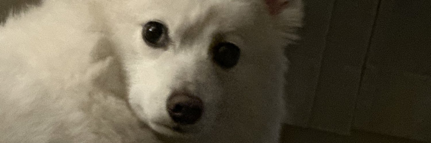 SeanIsFail's profile banner image