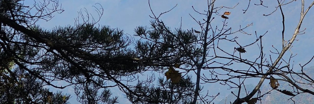 benjaminkhoe's profile banner image