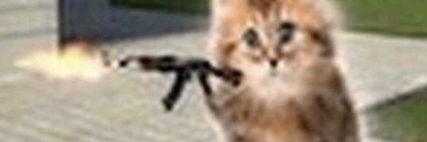 kiltacitus's profile banner image