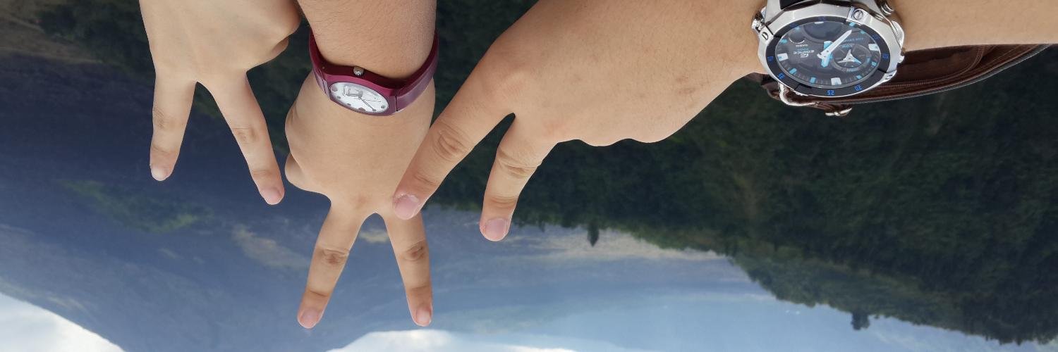stefthewhale_'s profile banner image