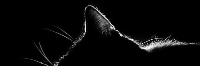 R S banner