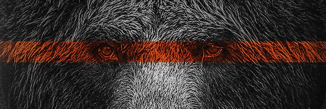 Thomas (Official Parody) banner