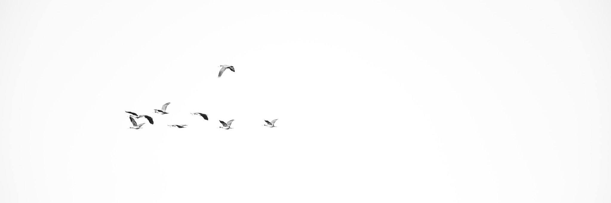 marianatday's profile banner image