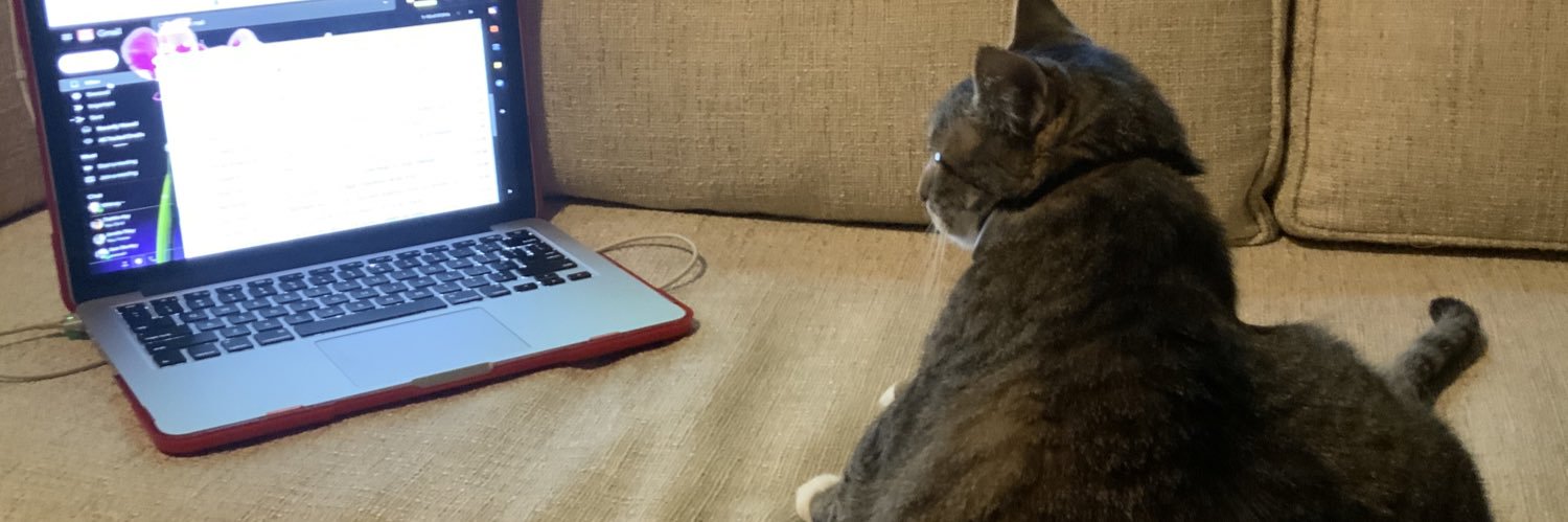 Whitney Friedlander banner