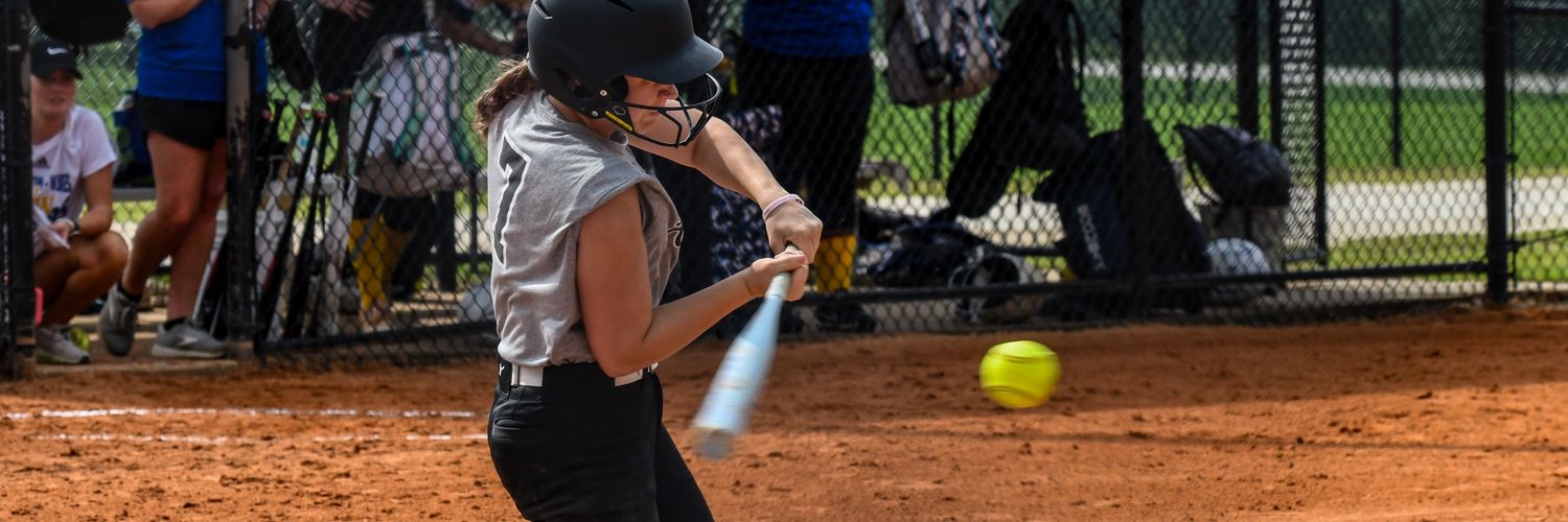 Cheyenne Walters banner