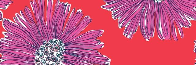 delfinafrontini's profile banner image