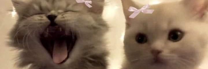 jcarterfm's profile banner image