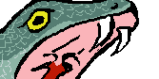 ___t's profile banner image