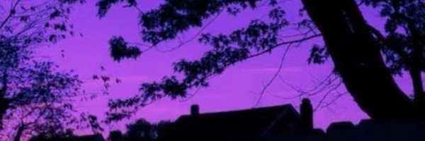 ZoranZoltanous Profile Banner