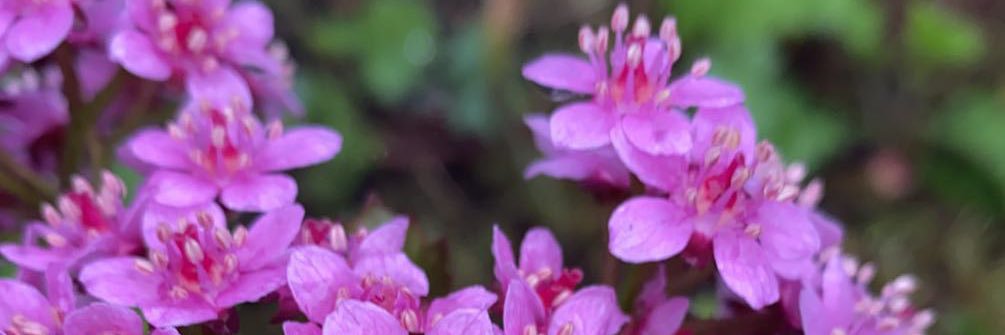 AimeeJackson69XXX banner