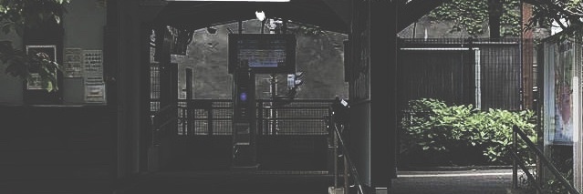 Jay. banner