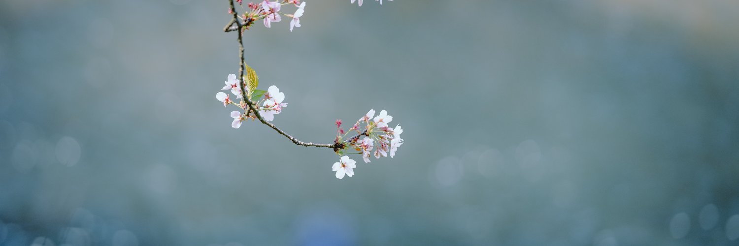 haroharo72's profile banner image
