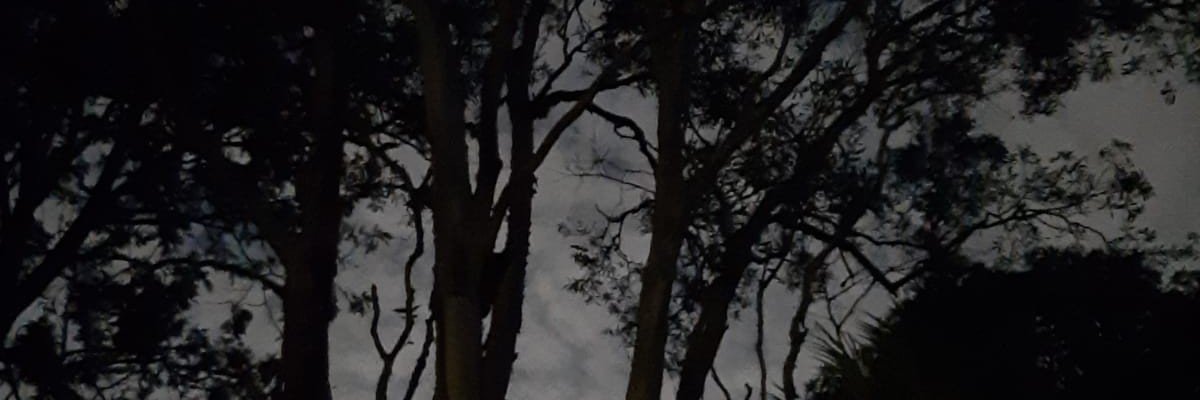XmeansTen's profile banner image