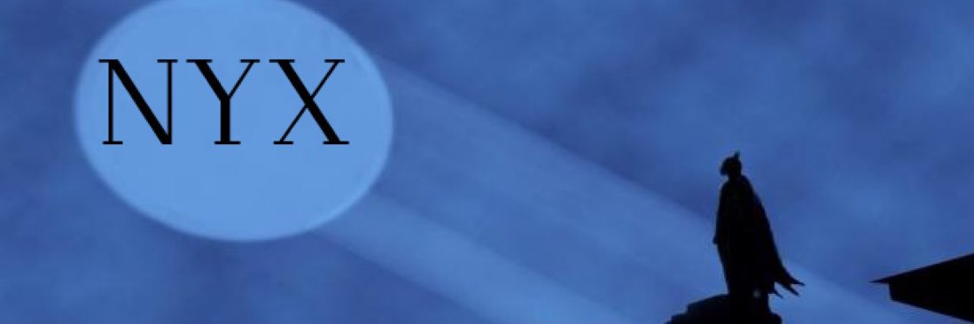 nyx 𖣂︎'s banner