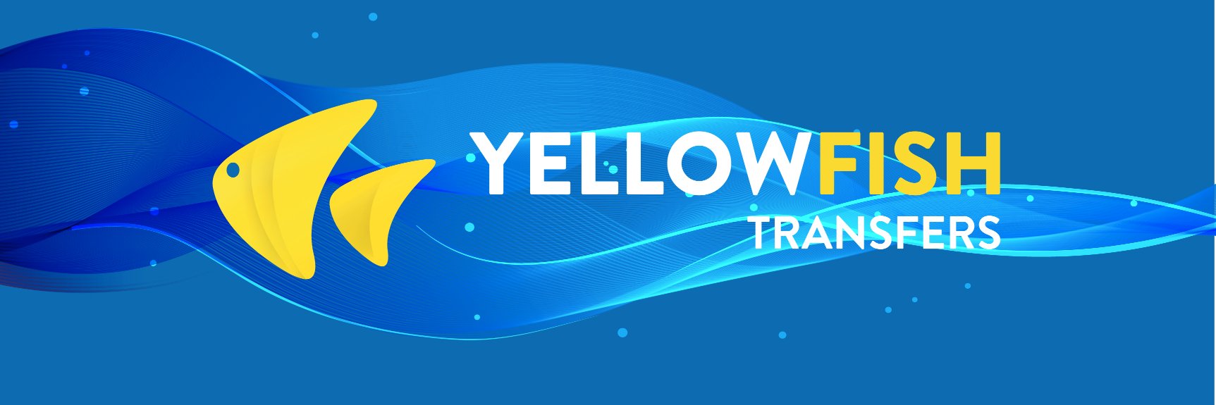 yellowfish_tran's profile banner image