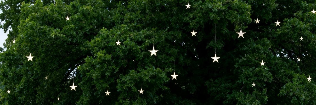 𖡎 banner