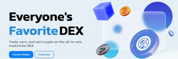 DYORSWAPDEX Profile Banner