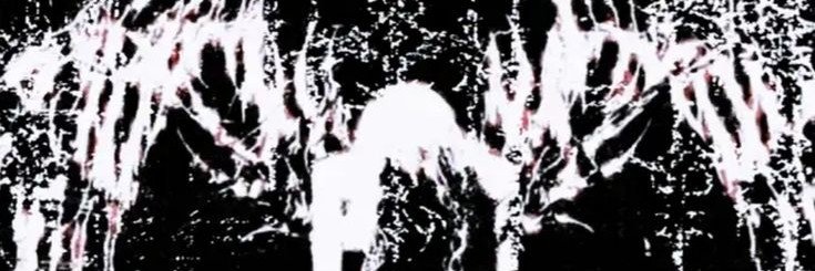 whlediffanmal's profile banner image