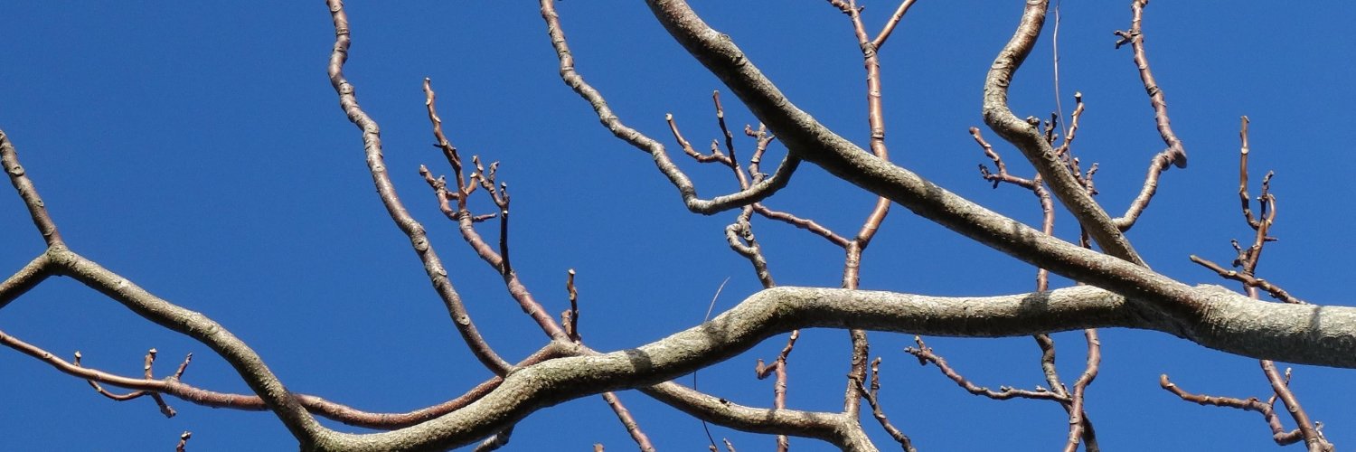 FÁS Public Speaking banner