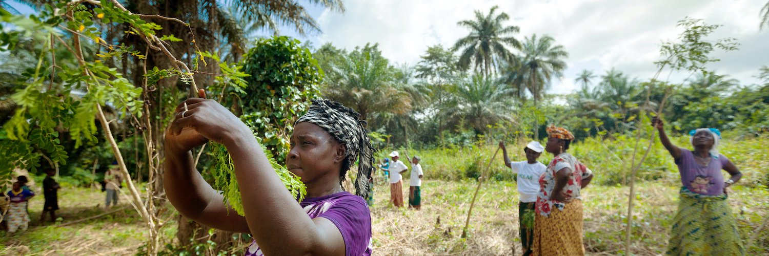 Climate and Development Knowledge Network banner