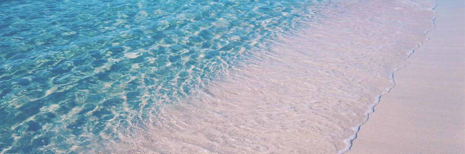 🐣(24時間以上DM返信ない方削除します) banner