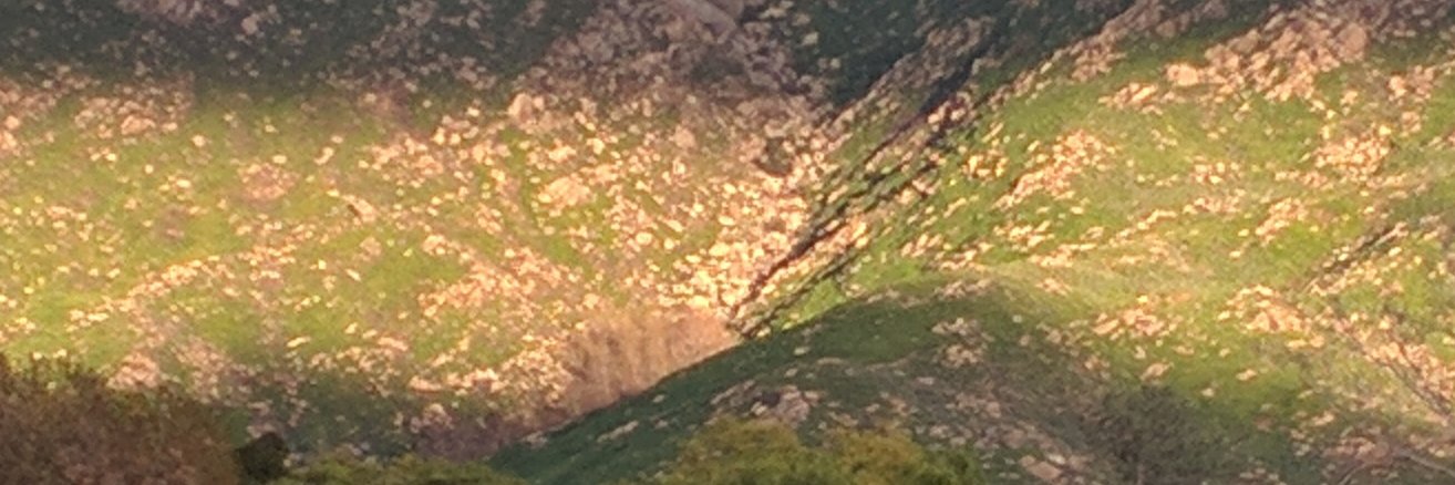 aseldawy's profile banner image