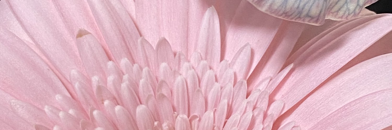 いお's banner