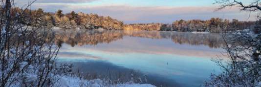 Seguin Township banner