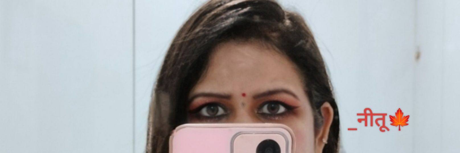 _नीतू🍁's banner