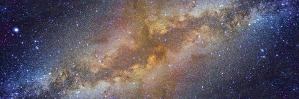 ReasonGlobie Profile Banner