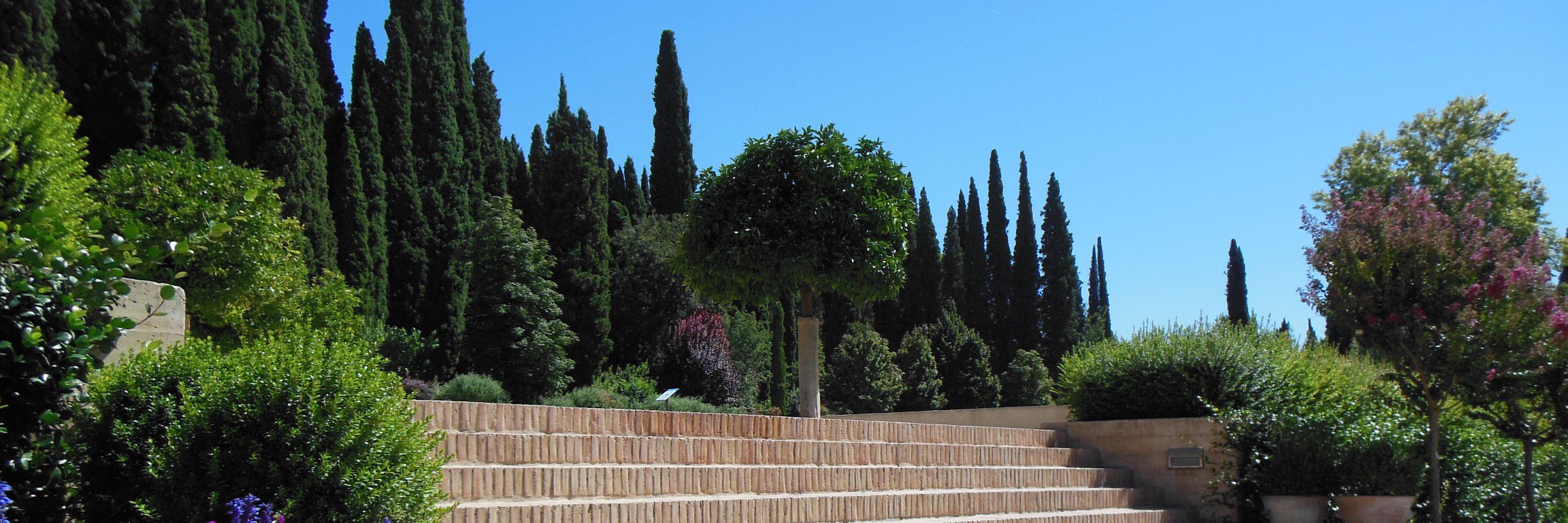 chaffron's profile banner image