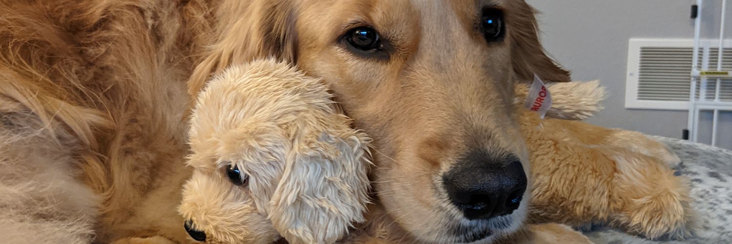 wrightontheleft's profile banner image